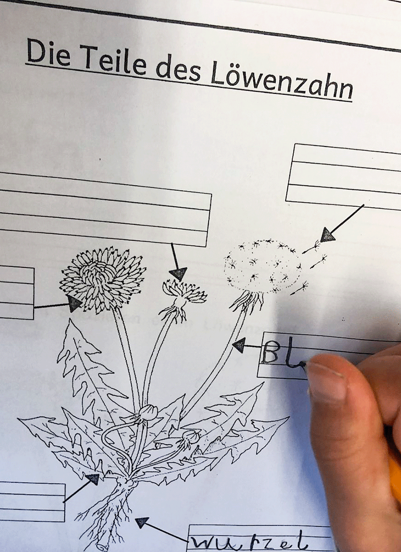 Aus dem Unterricht in der Feldsieper Schule Bochum