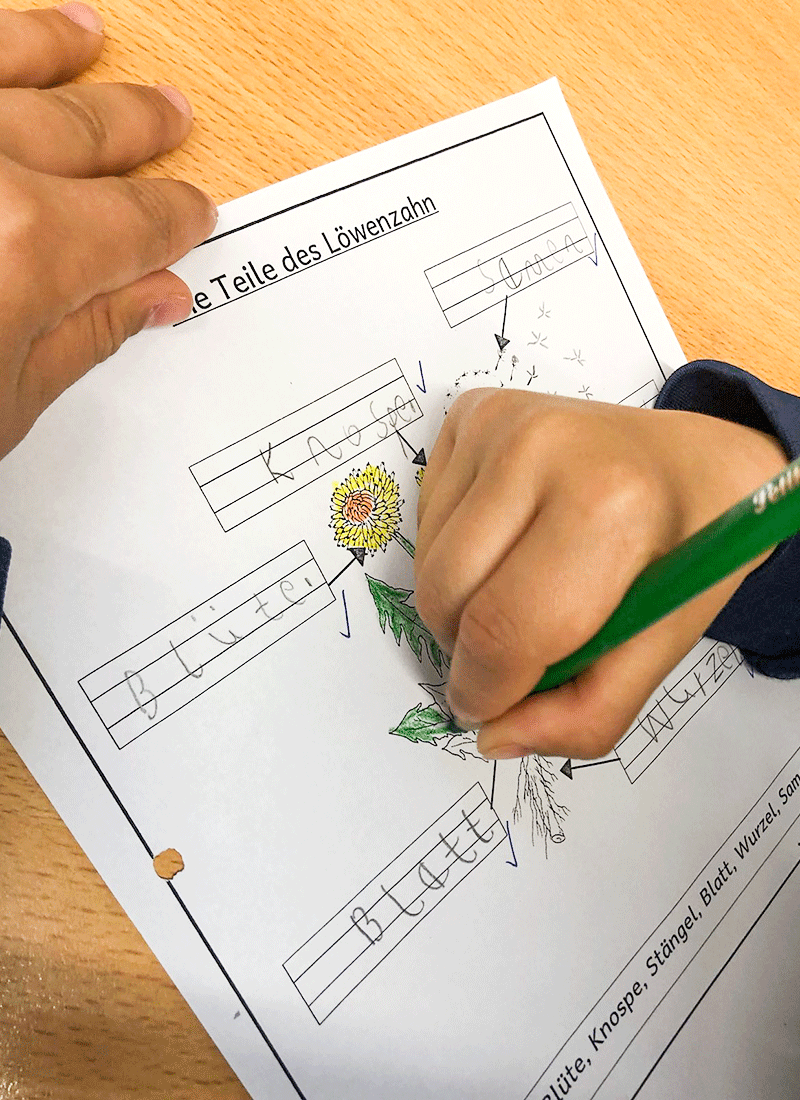 Aus dem Unterricht in der Feldsieper Schule Bochum