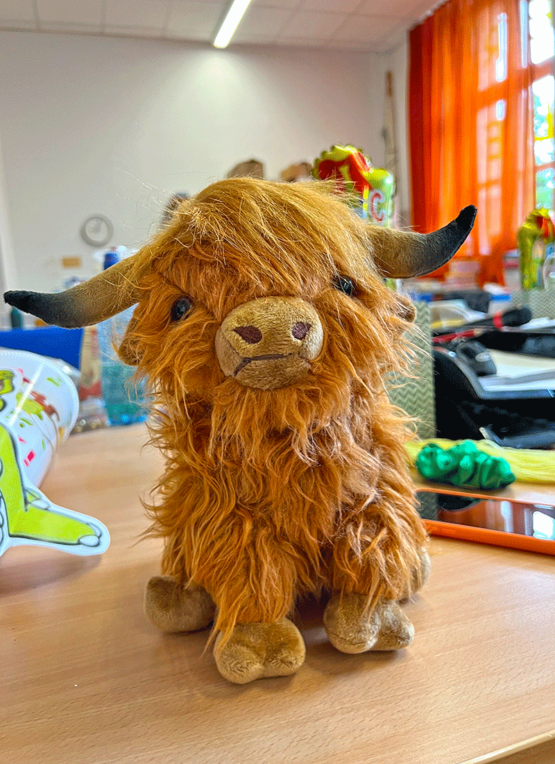 Aus dem Unterricht in der Feldsieper Schule Bochum