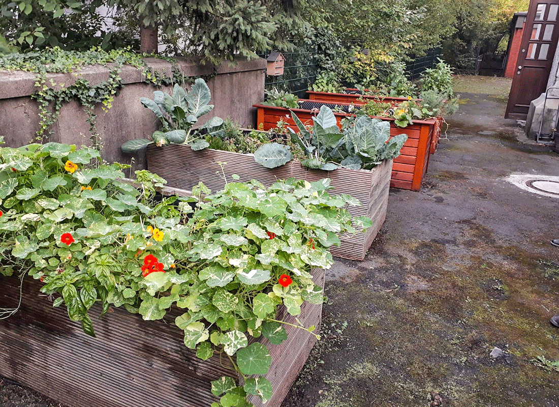 Aus dem Unterricht in der Feldsieper Schule Bochum