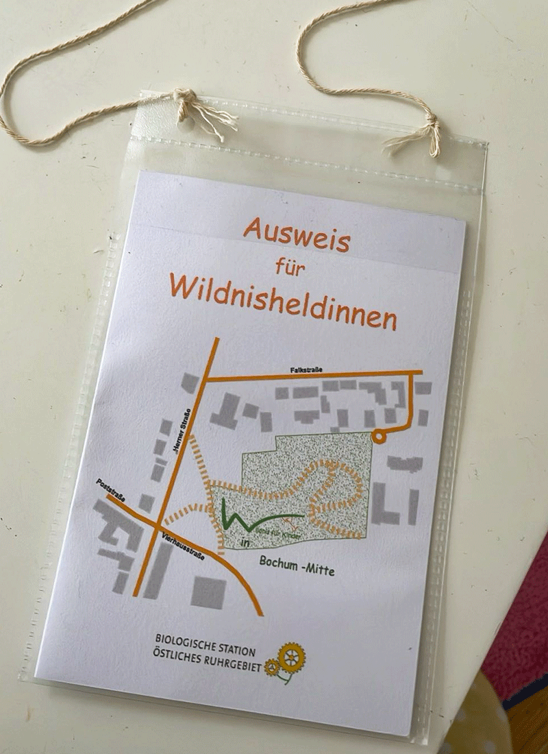Aus dem Unterricht in der Feldsieper Schule Bochum